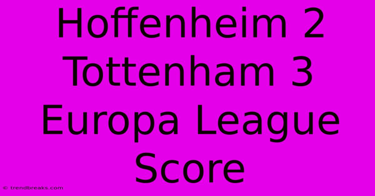 Hoffenheim 2 Tottenham 3 Europa League Score