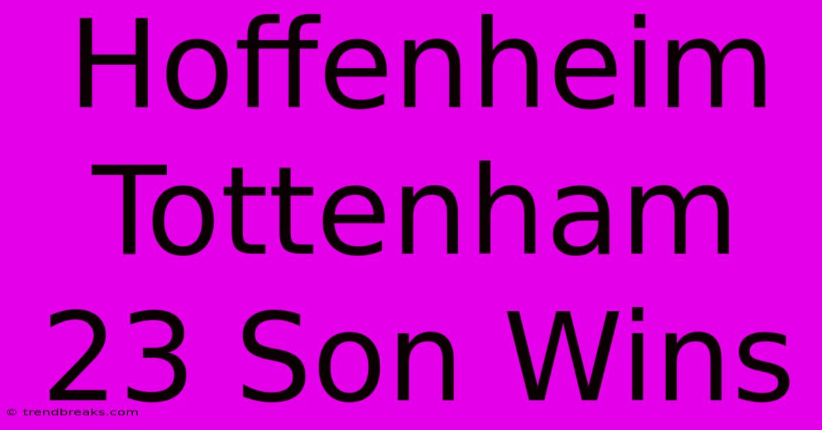 Hoffenheim Tottenham 23 Son Wins