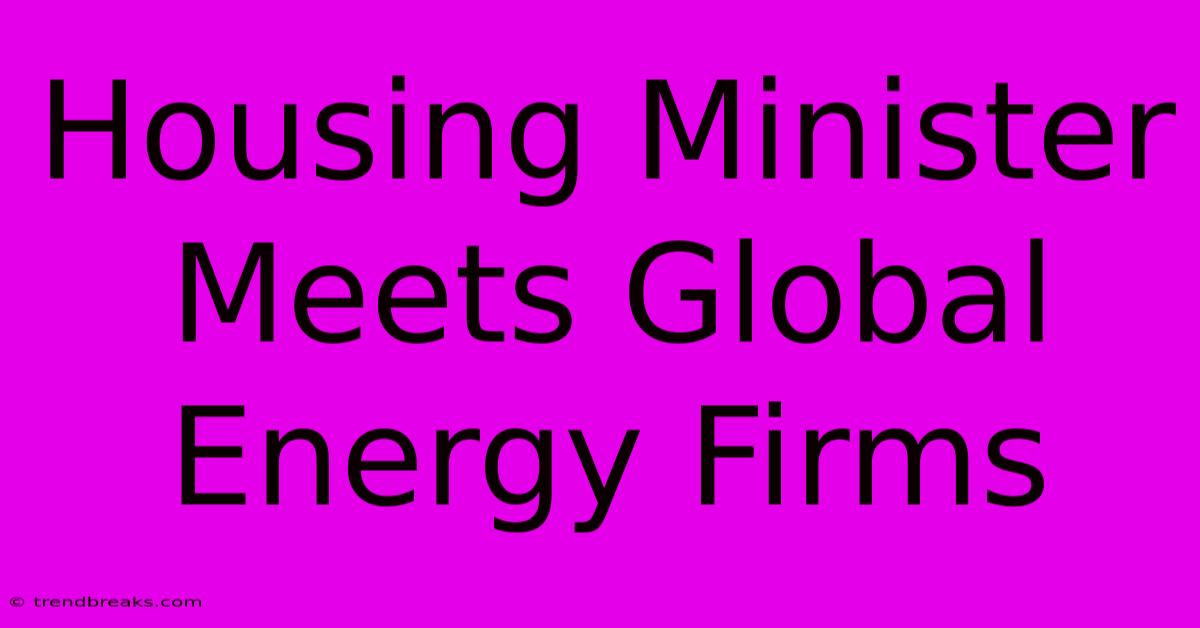 Housing Minister Meets Global Energy Firms