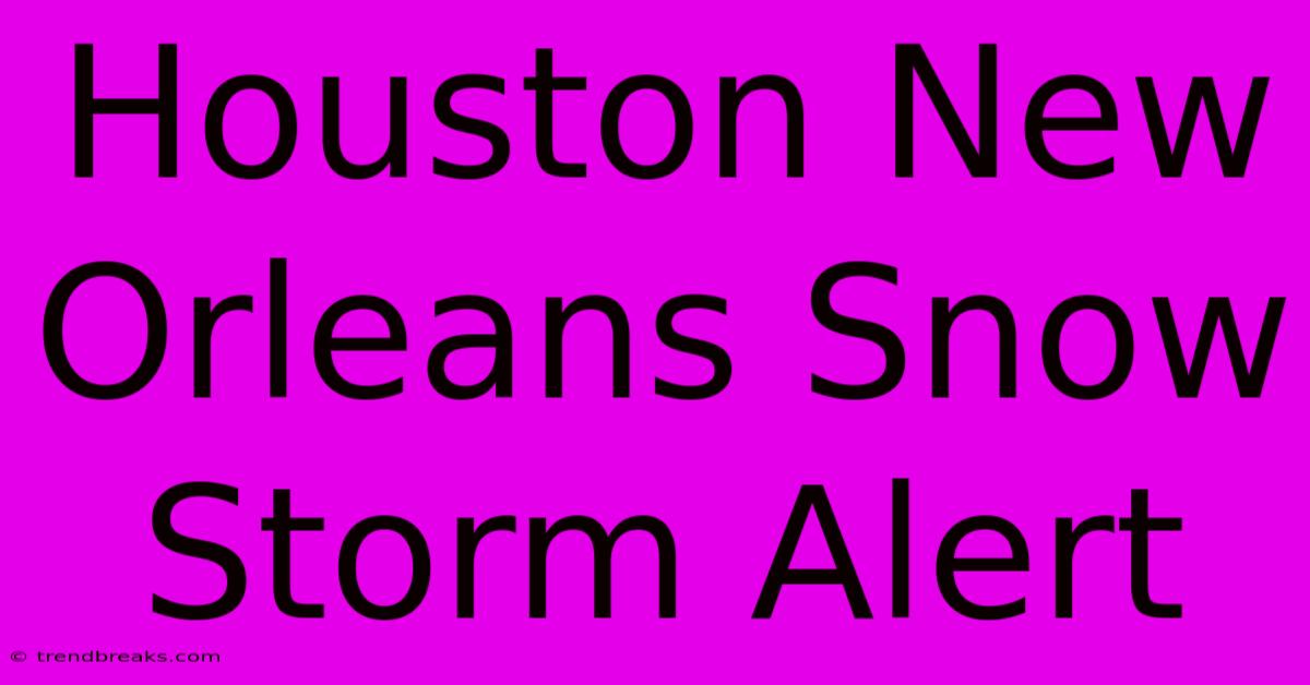 Houston New Orleans Snow Storm Alert