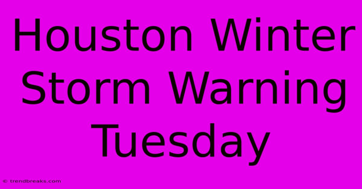 Houston Winter Storm Warning Tuesday