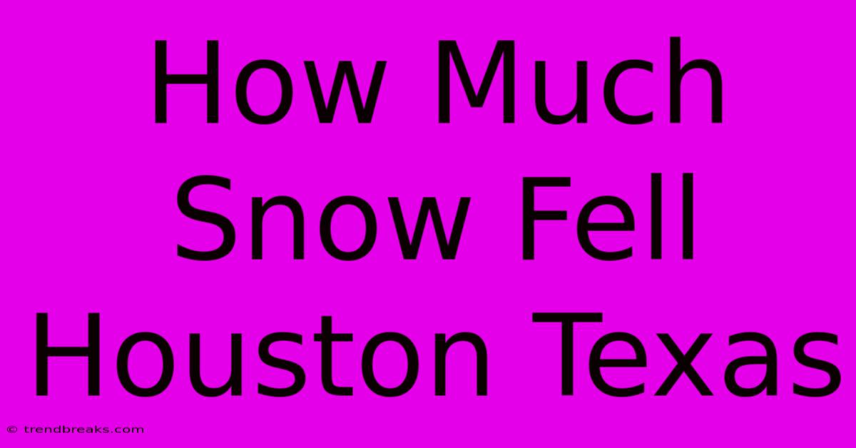 How Much Snow Fell Houston Texas