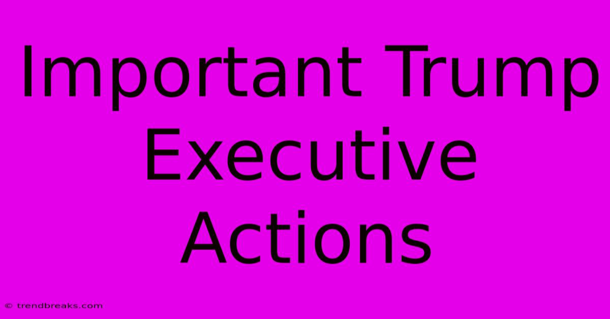 Important Trump Executive Actions