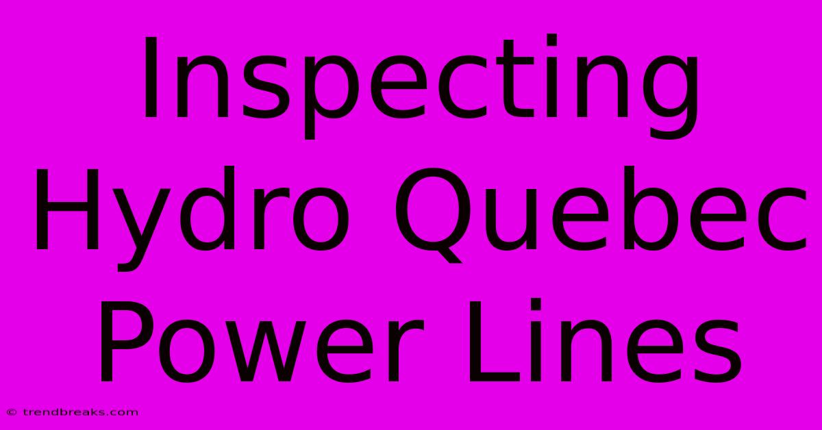 Inspecting Hydro Quebec Power Lines