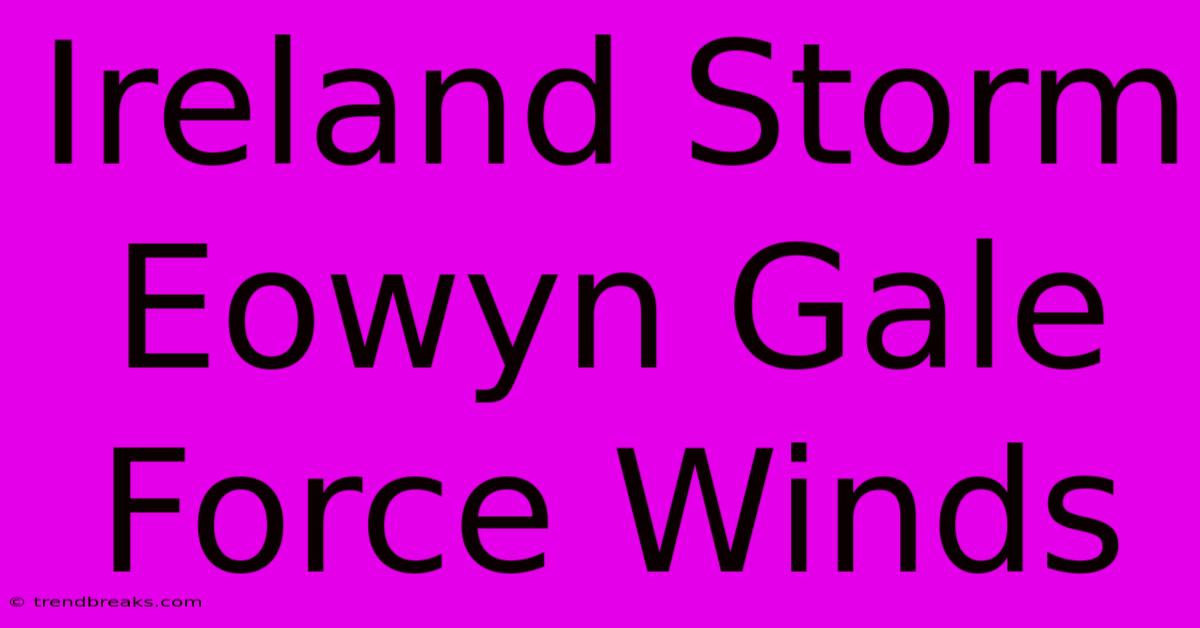 Ireland Storm Eowyn Gale Force Winds