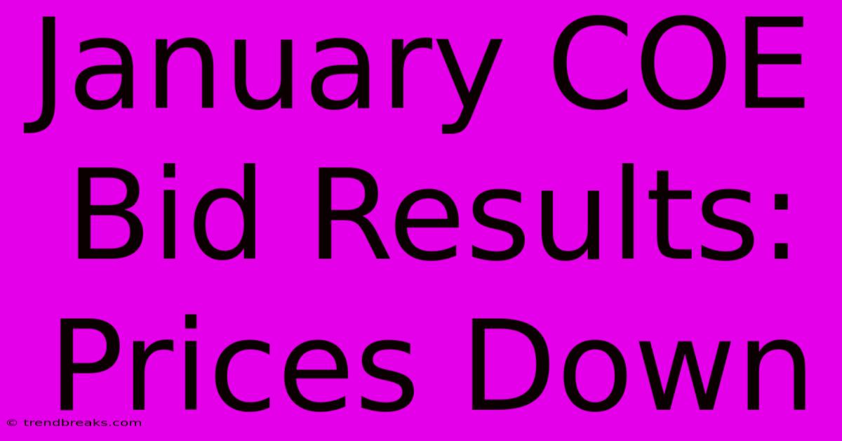 January COE Bid Results: Prices Down