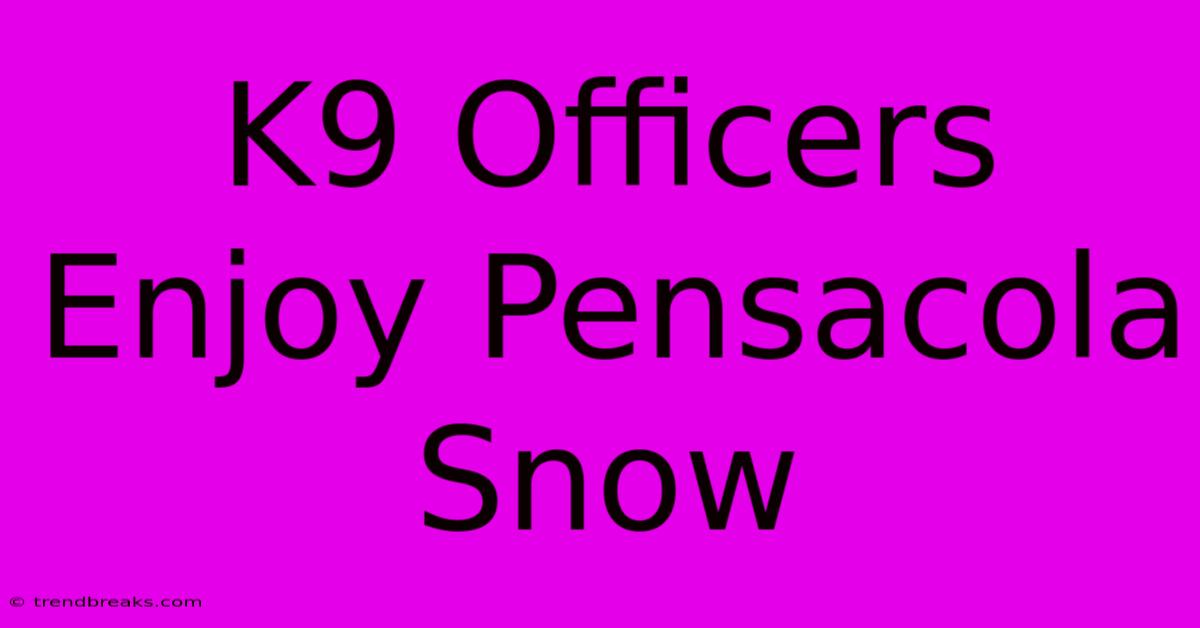 K9 Officers Enjoy Pensacola Snow