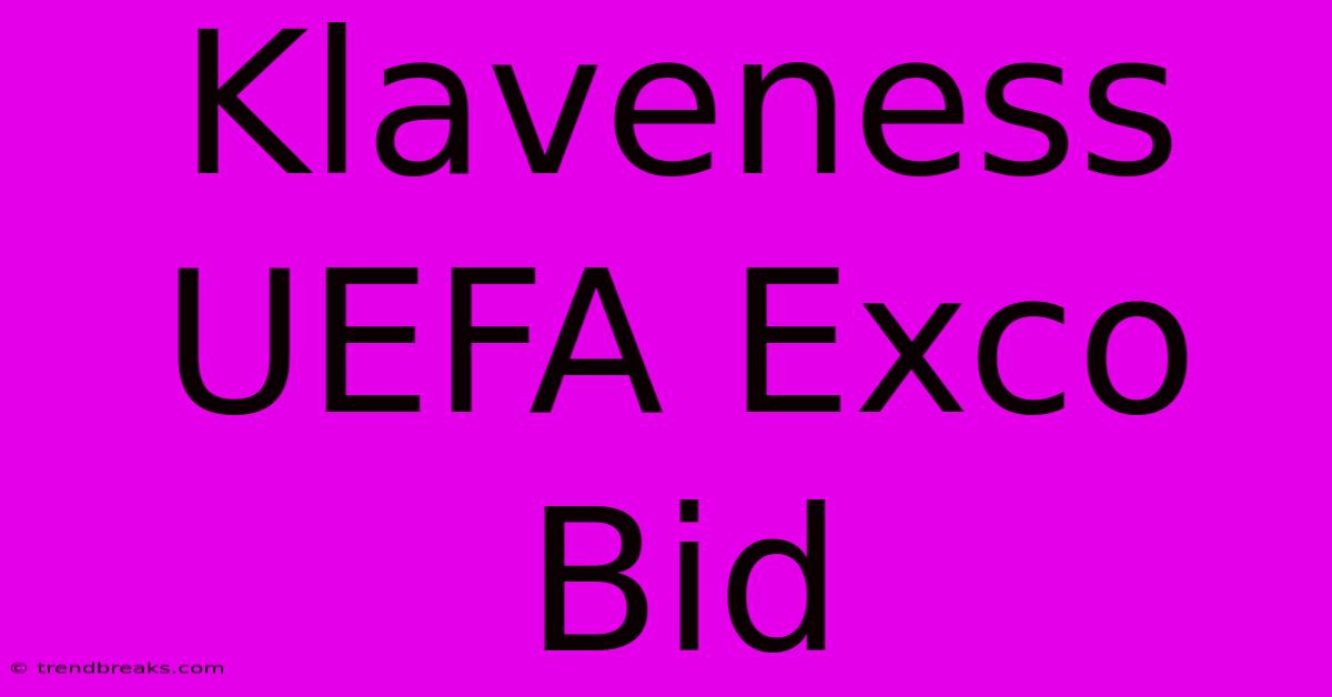 Klaveness UEFA Exco Bid