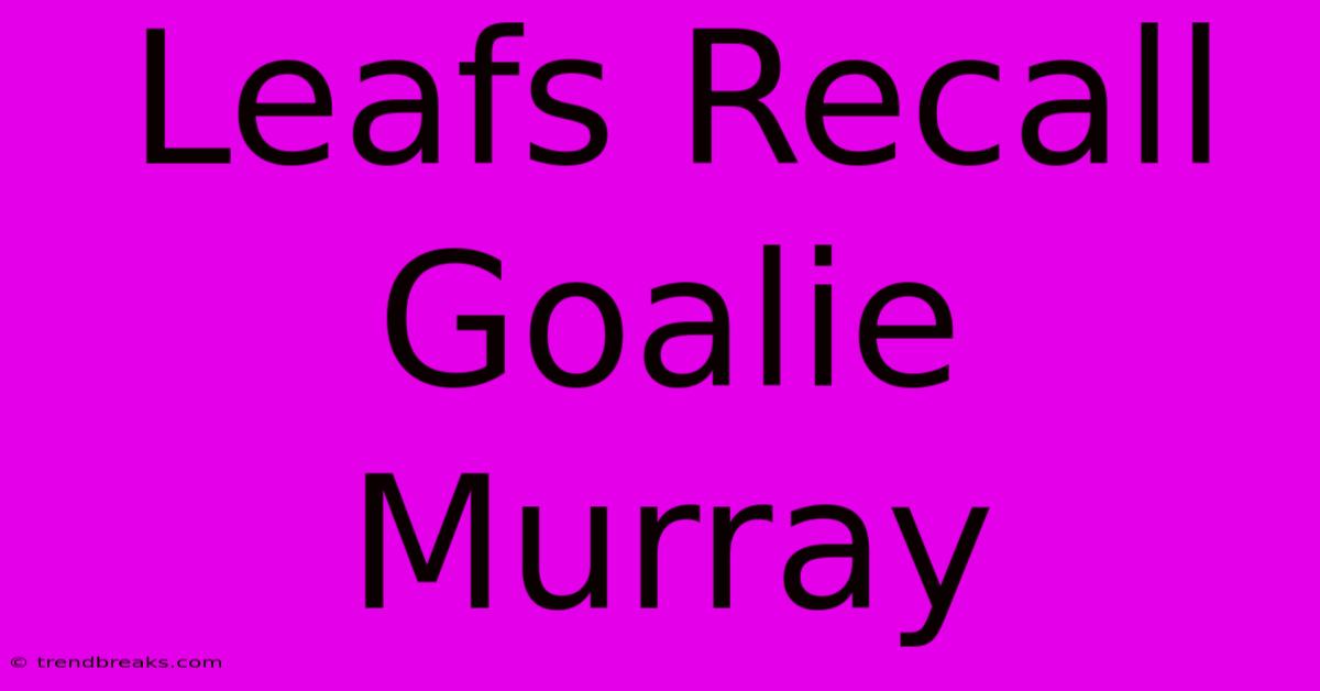 Leafs Recall Goalie Murray