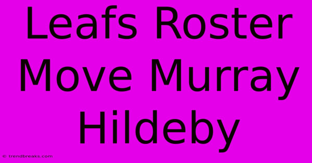 Leafs Roster Move Murray Hildeby