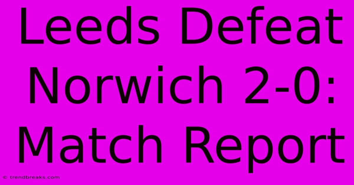 Leeds Defeat Norwich 2-0: Match Report