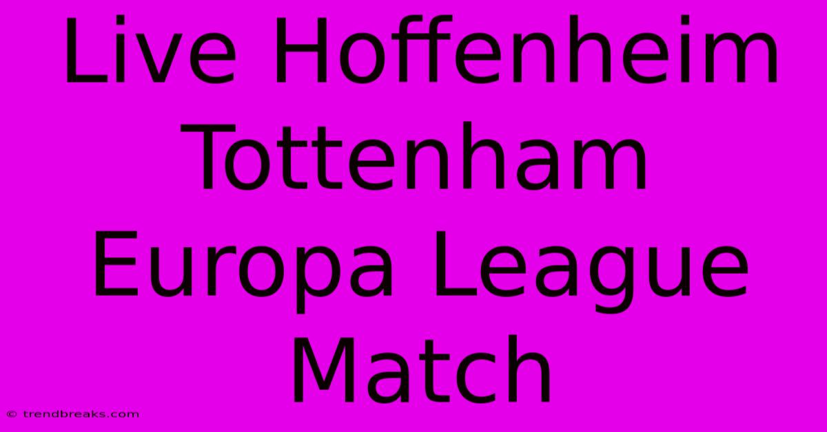 Live Hoffenheim Tottenham Europa League Match