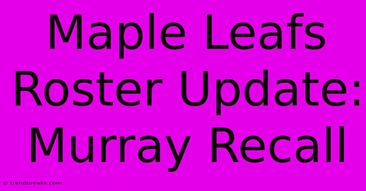 Maple Leafs Roster Update: Murray Recall