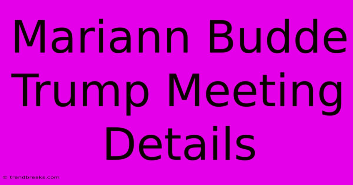 Mariann Budde Trump Meeting Details