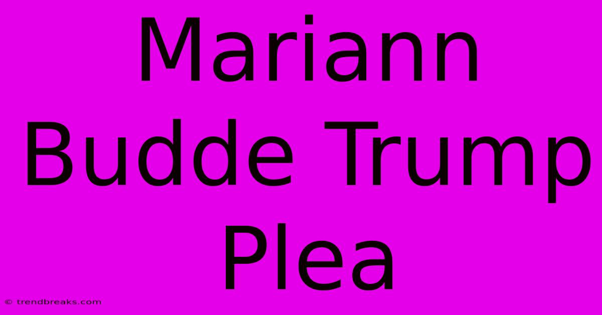 Mariann Budde Trump Plea