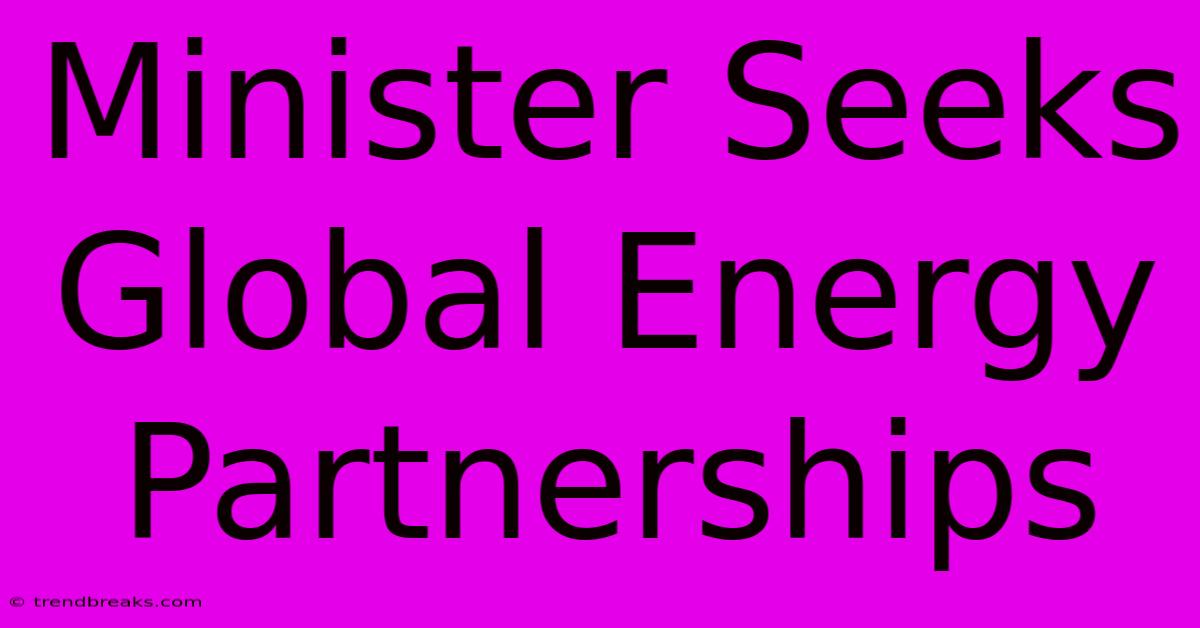 Minister Seeks Global Energy Partnerships