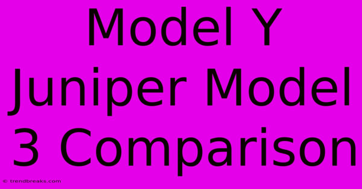 Model Y Juniper Model 3 Comparison