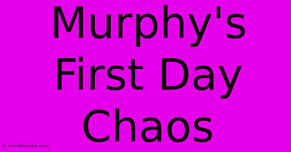 Murphy's First Day Chaos