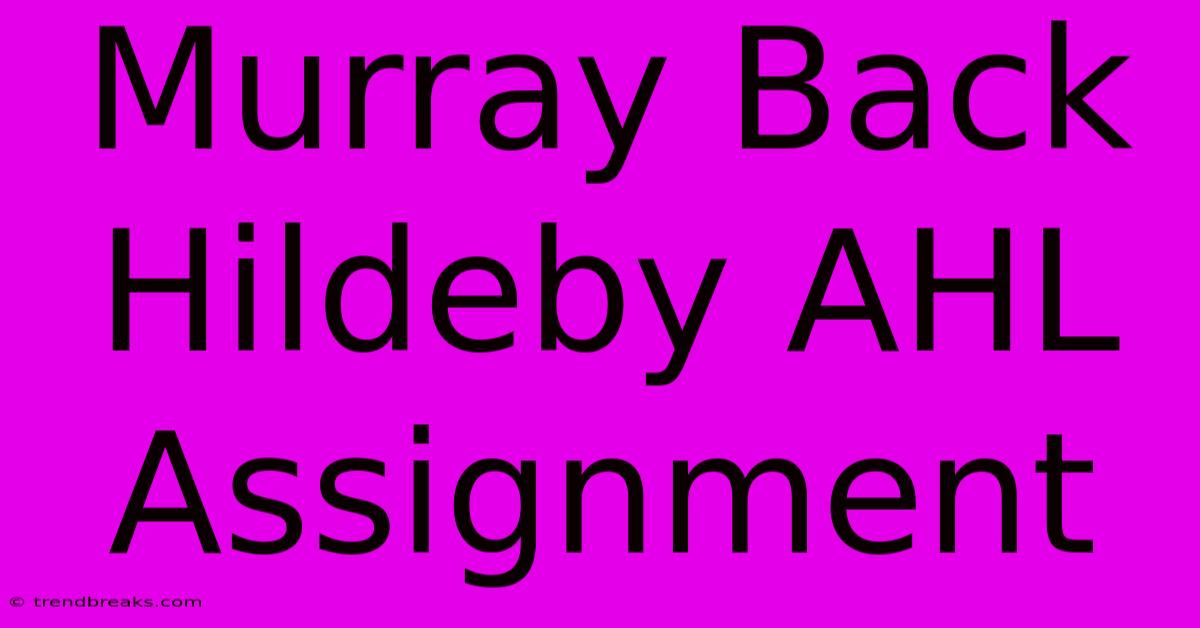 Murray Back Hildeby AHL Assignment