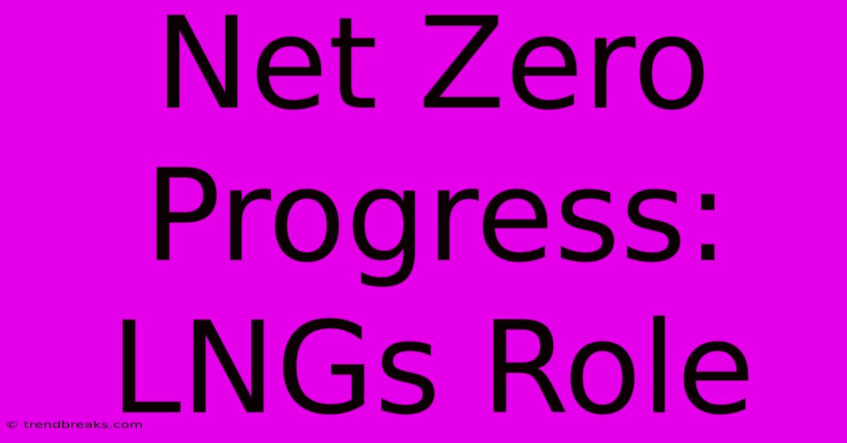 Net Zero Progress: LNGs Role