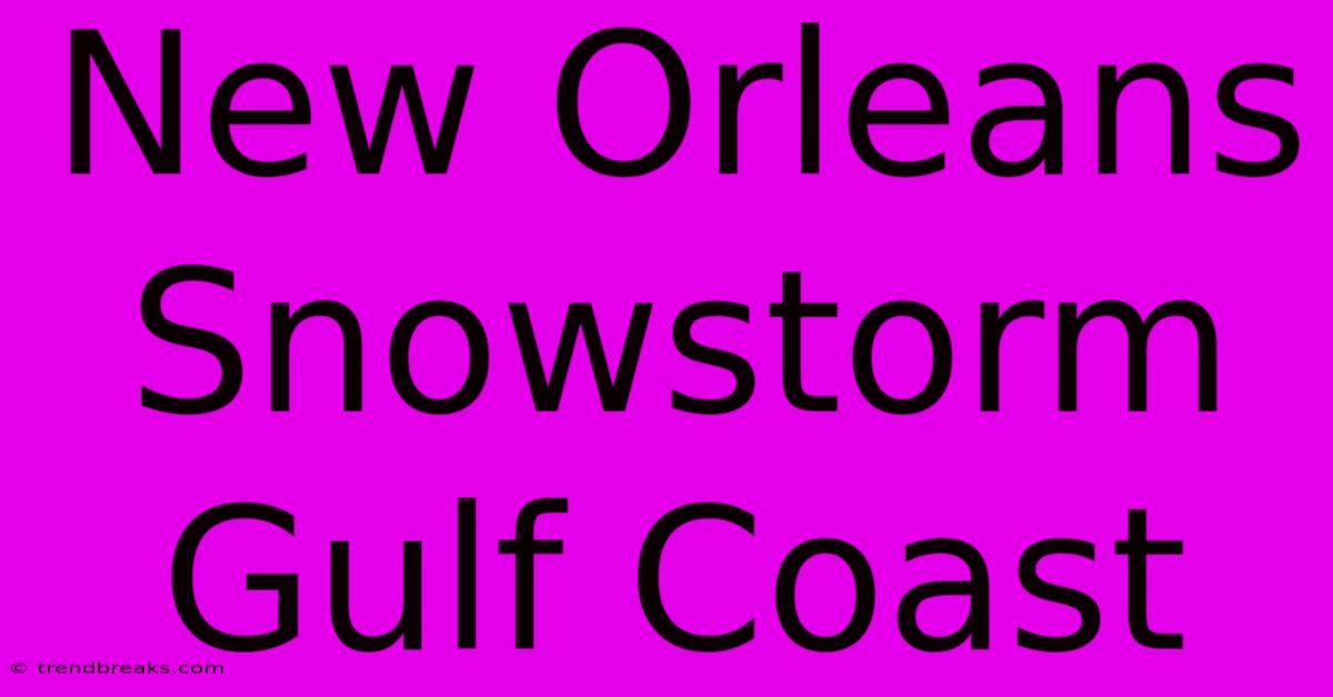 New Orleans Snowstorm Gulf Coast