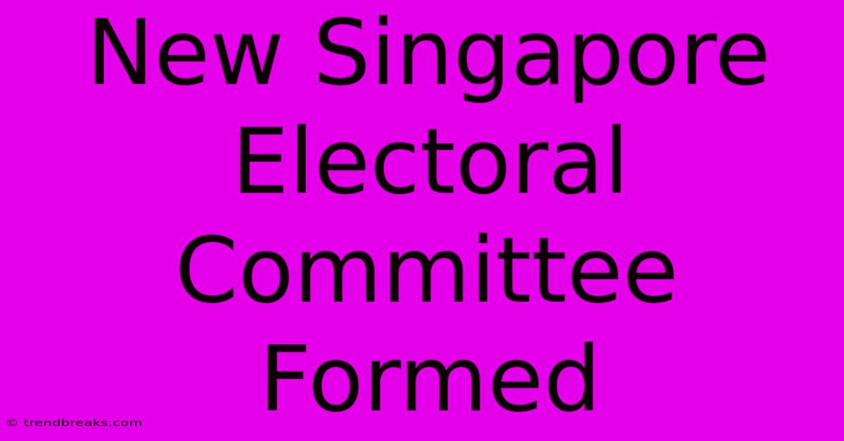 New Singapore Electoral Committee Formed