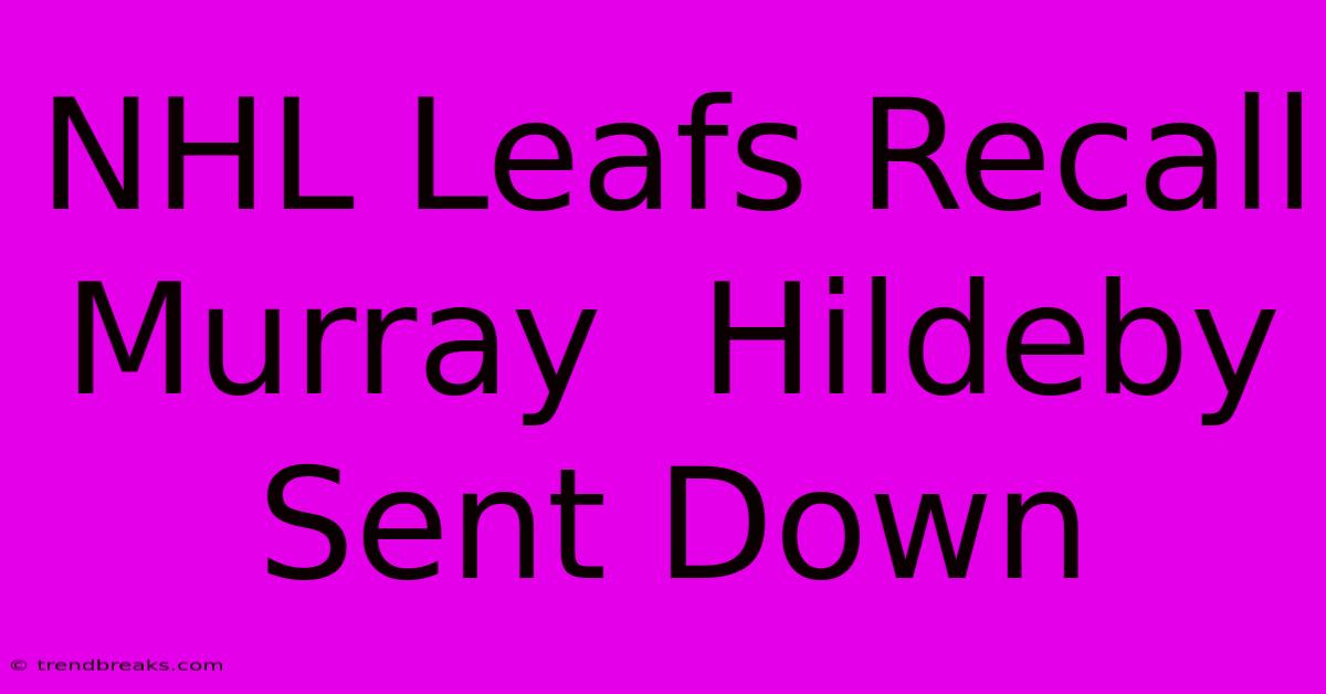 NHL Leafs Recall Murray  Hildeby Sent Down