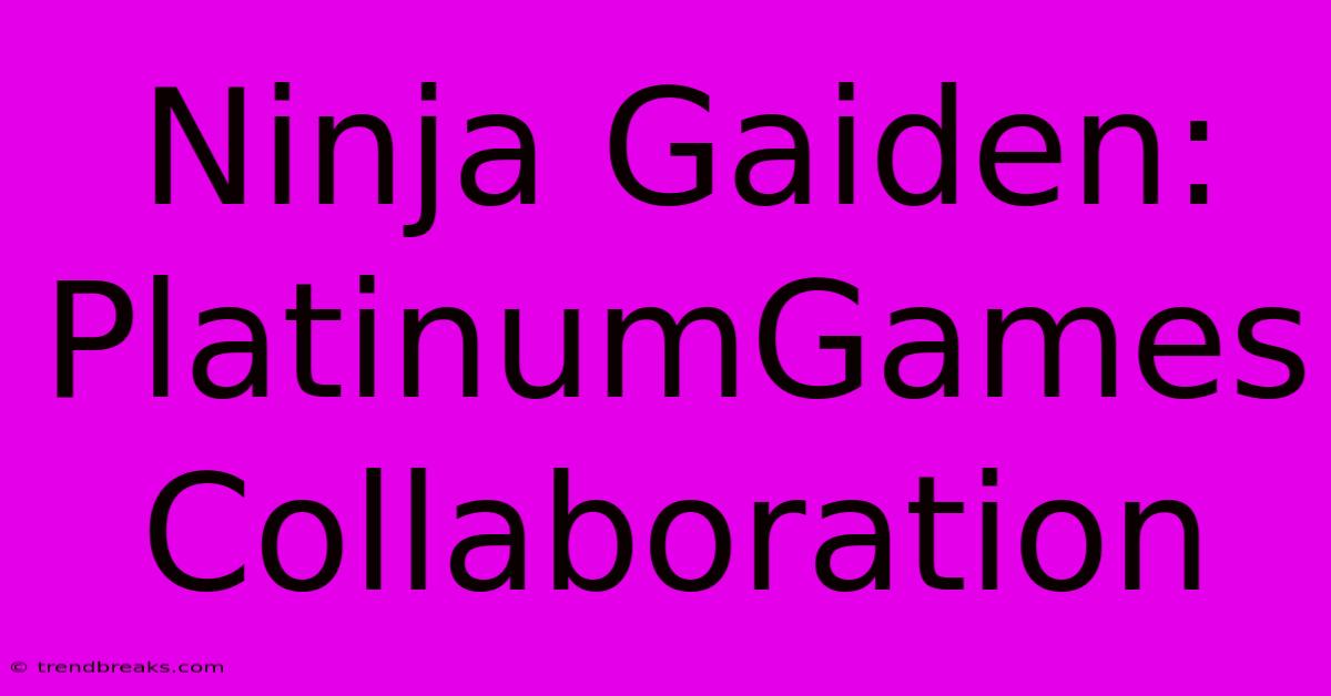 Ninja Gaiden: PlatinumGames Collaboration