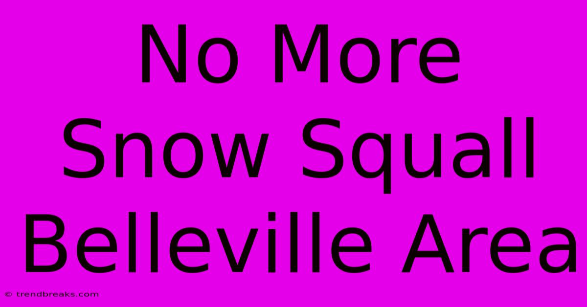 No More Snow Squall Belleville Area