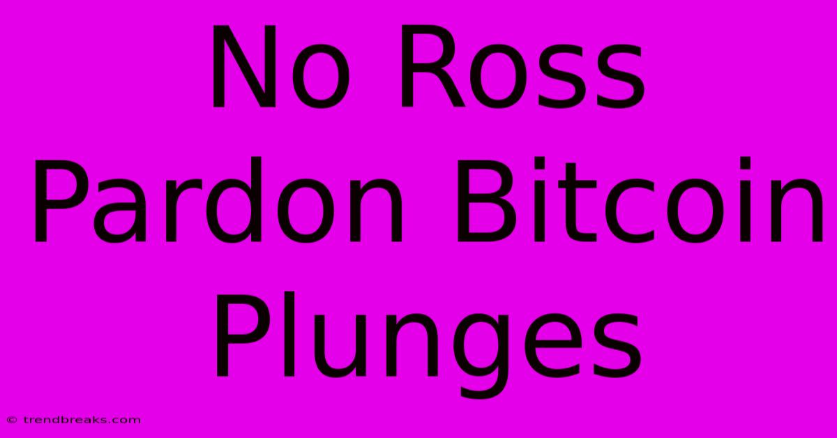 No Ross Pardon Bitcoin Plunges