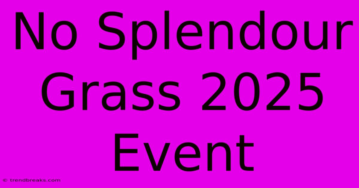 No Splendour Grass 2025 Event