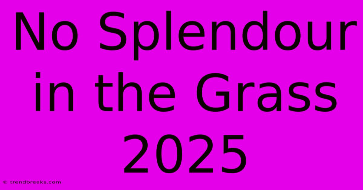 No Splendour In The Grass 2025