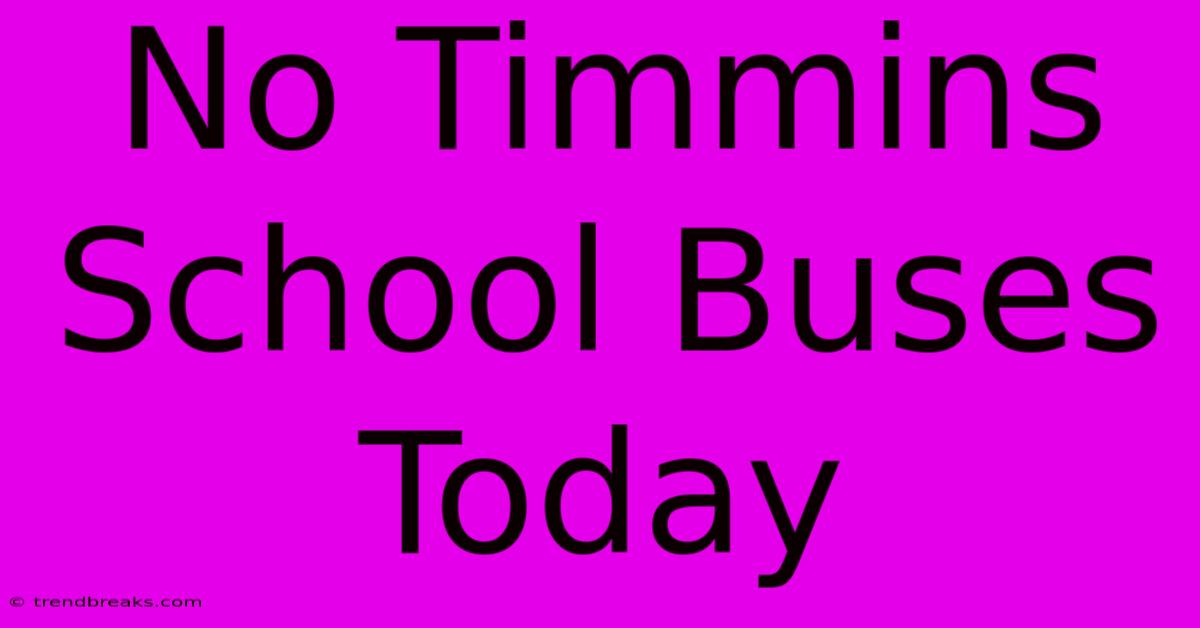 No Timmins School Buses Today