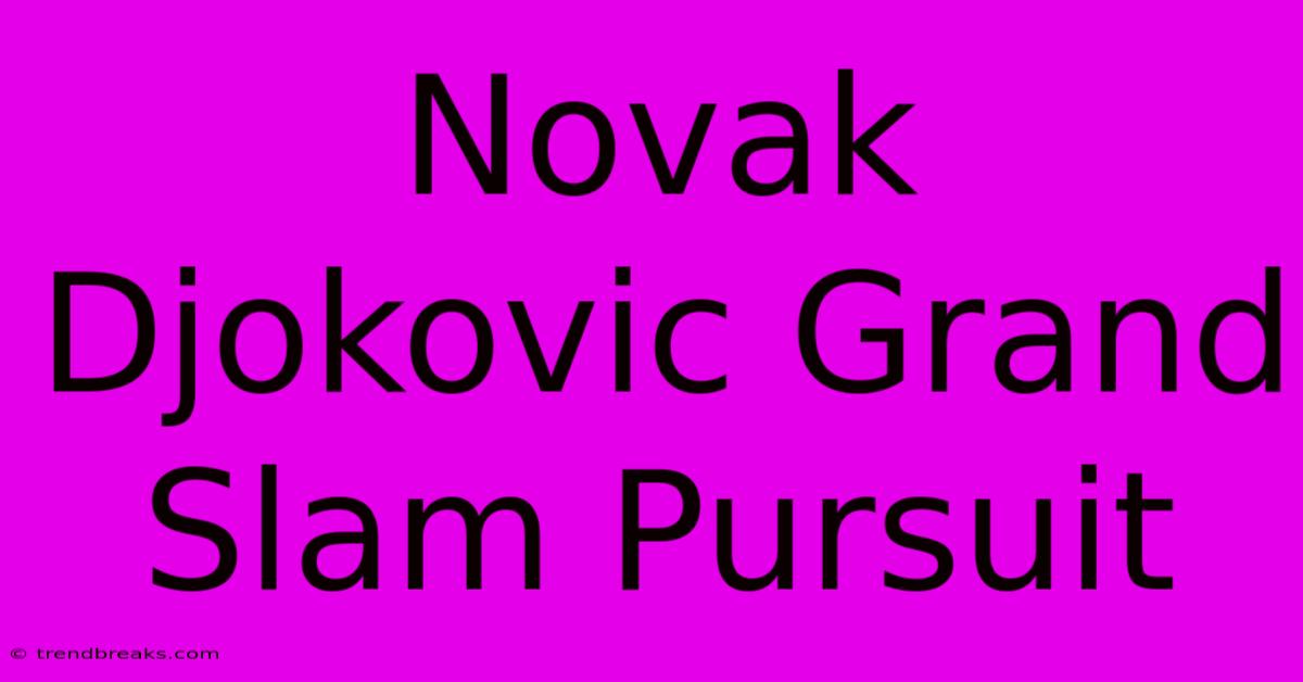 Novak Djokovic Grand Slam Pursuit