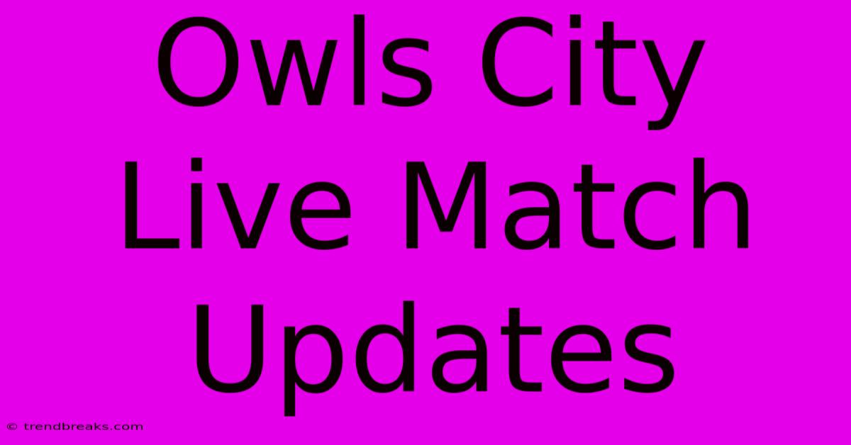 Owls City Live Match Updates