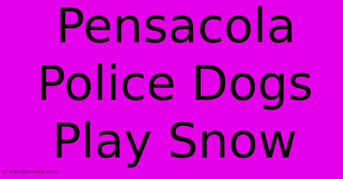 Pensacola Police Dogs Play Snow