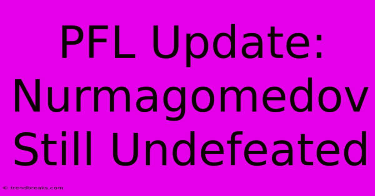 PFL Update: Nurmagomedov Still Undefeated