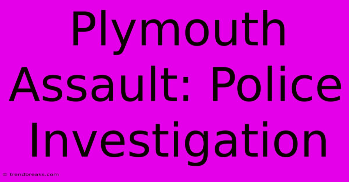 Plymouth Assault: Police Investigation