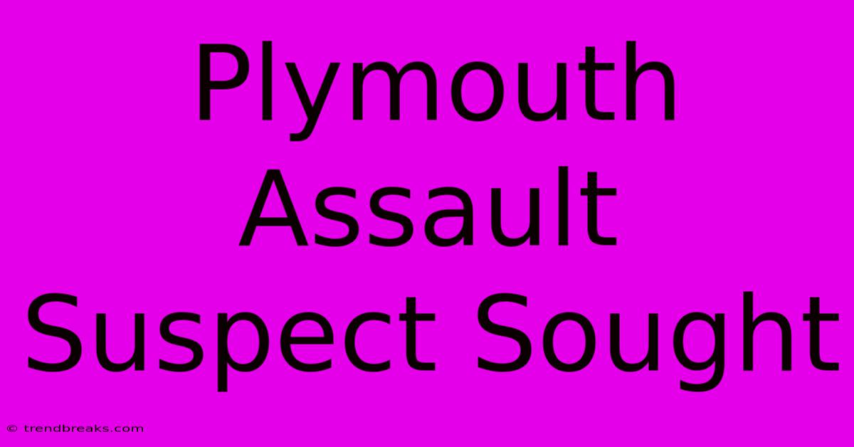 Plymouth Assault Suspect Sought