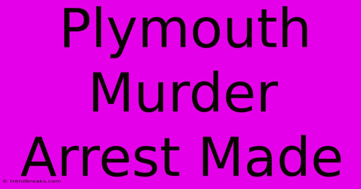 Plymouth Murder Arrest Made