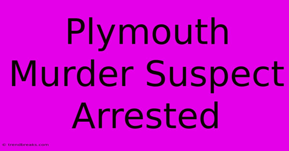 Plymouth Murder Suspect Arrested