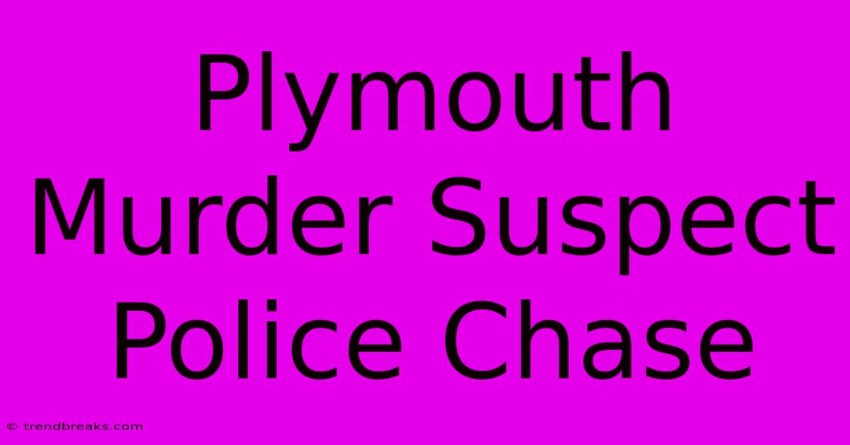 Plymouth Murder Suspect Police Chase