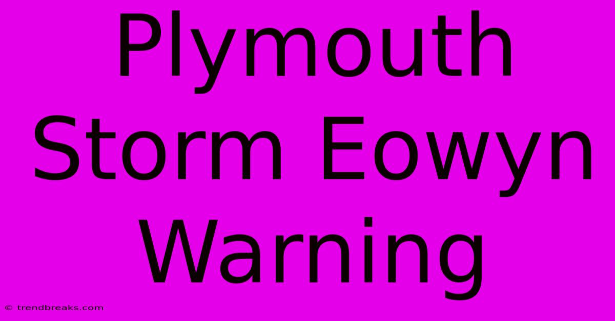 Plymouth Storm Eowyn Warning