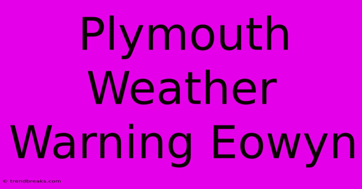 Plymouth Weather Warning Eowyn