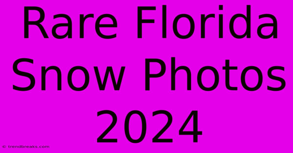 Rare Florida Snow Photos 2024