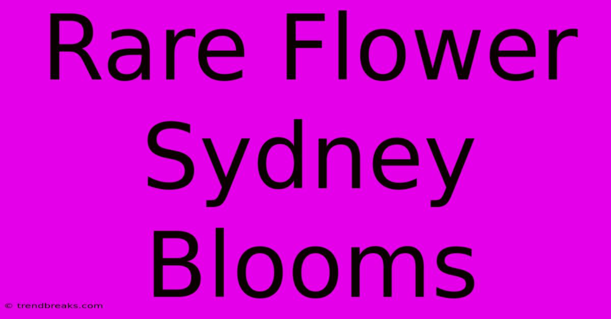 Rare Flower Sydney Blooms