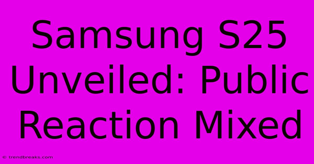 Samsung S25 Unveiled: Public Reaction Mixed