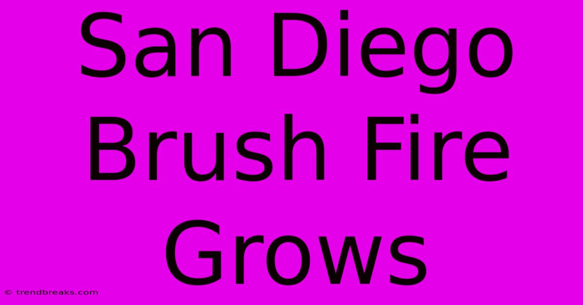 San Diego Brush Fire Grows