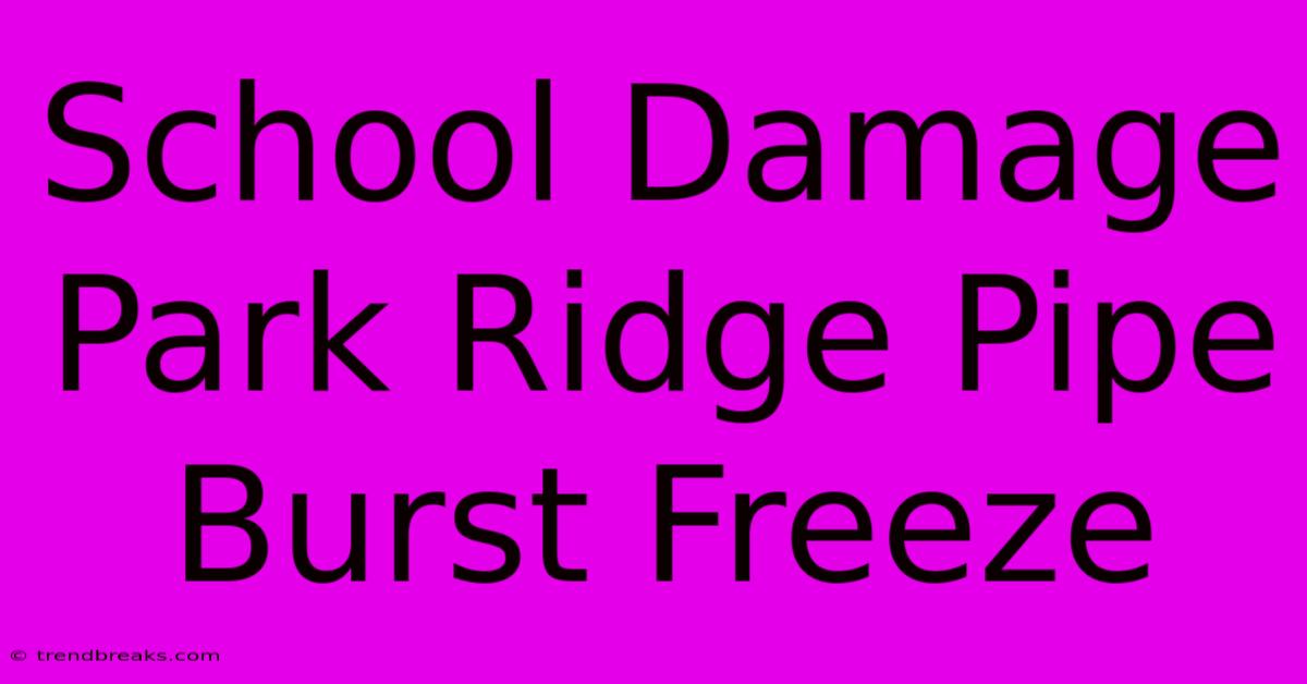 School Damage Park Ridge Pipe Burst Freeze