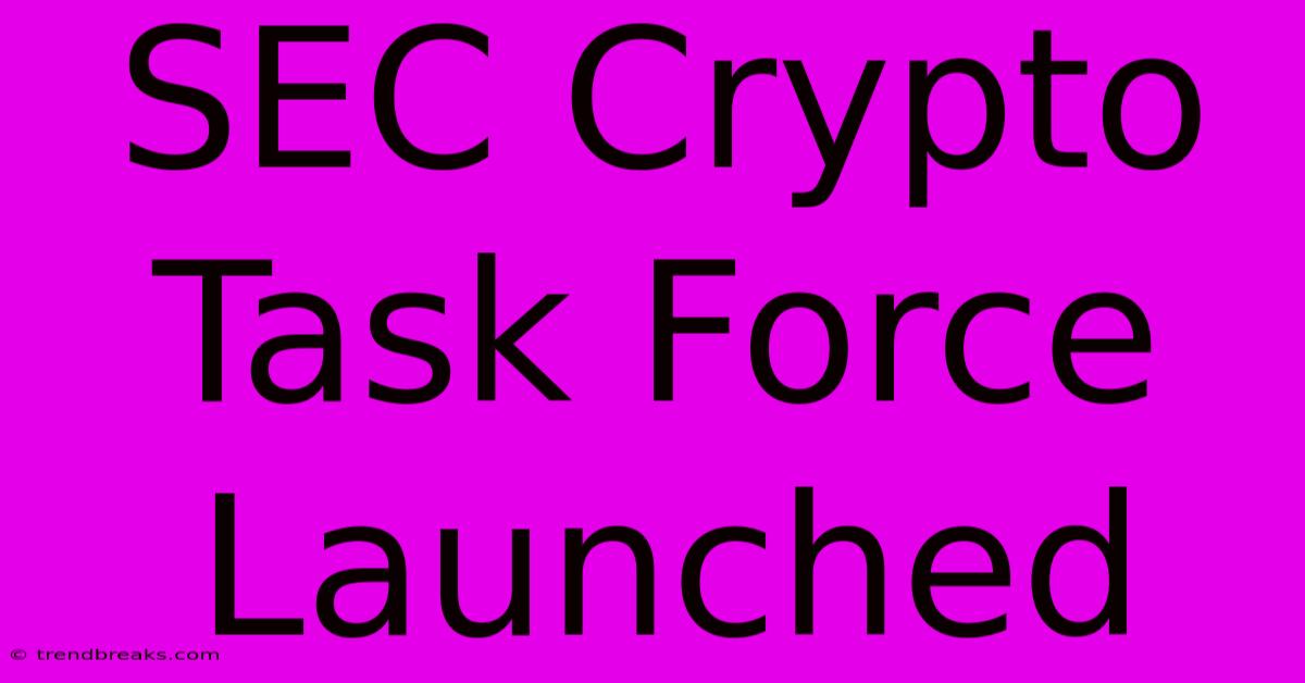 SEC Crypto Task Force Launched